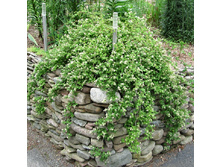 87���. ����������� ��������������� ������.jpg