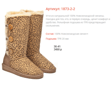 1873-2 �������.png