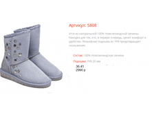 5808 �����.png