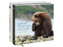 ����� ������� ������.jpg