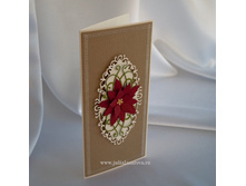 �������������� ������ 250 ���.