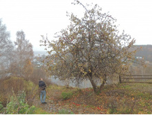 ���� ������ �����-���� ������ ��������))