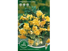 ������� ��������� ������ ������ 184