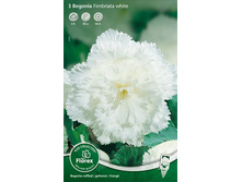 ������� ����������� ���� 162