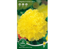 ������� ����������� ������ 162