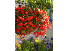 ������� ������� 214