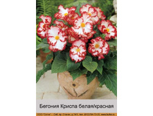 ������� ������ ���-���� 177