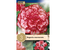 ������� ��������� 179