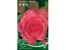 ������� �������� ����162