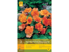 ������� ���-���� ������ 235