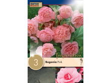 ������� ���-���� ���� 235