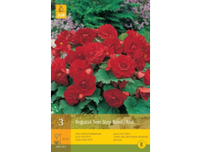 ������� ���-���� ��� 235