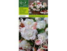 ������� ������� ���� 258