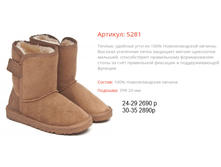 5281 ����������.png