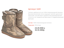 5281 ��������.png