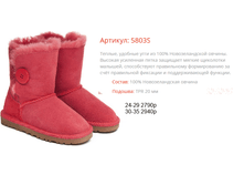 5803S �������.png