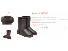 5825 ���������� � ������� �������.png