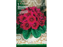 ��������� ������� 111,0