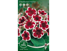 ��������� ������ ������� (2��/��) - 185,0