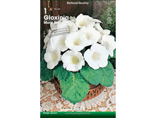 ��������� ��� ����� 111,0