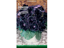 ��������� ����� ������� 111,0