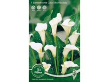 ����� ������������ 79.jpg