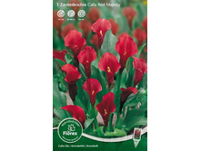 ����� ��� �������� 88