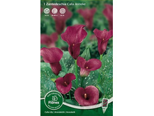 ����� ���� ���� 88.jpg