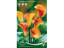 ����� ����� 85.jpg