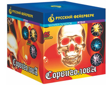 7311 �����������.jpg