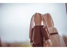 ������� ���������� ���� � ����� �����