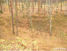 ��������� ������