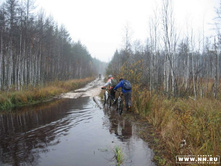 ������ ))