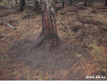 ����� ����� ������