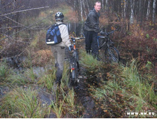 ����� - ���