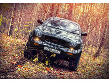 IMG_5199_�������� �������.JPG