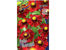 51,33���.�������� ���� ������� (�������� ���� �� 3 ��., ����������� ����� 1��.).jpg