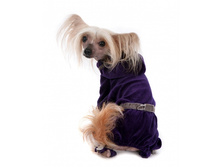 ���������� ������� ����������1.jpg