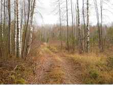 DSCN2229.JPG