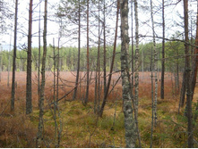 DSCN2231.JPG