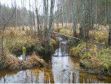 DSCN2242.JPG