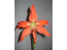 ��� �������� 7 1.JPG