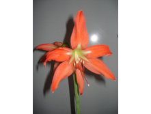 ��� �������� 7 2.JPG