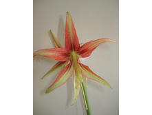 ��������������� 6 4.JPG