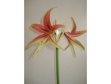 ��������������� 6 5.JPG