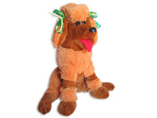 pudel_sredn_korich_55_sm_244 �.jpg