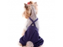 �������� �����������, 185�.jpg