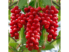 165���. �������� ��������� ���������.jpg