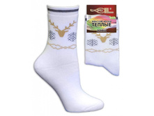 02-0679-L 85���