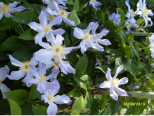 SDC19597.JPG
